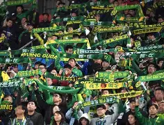 开云体育官网-北京国安官网